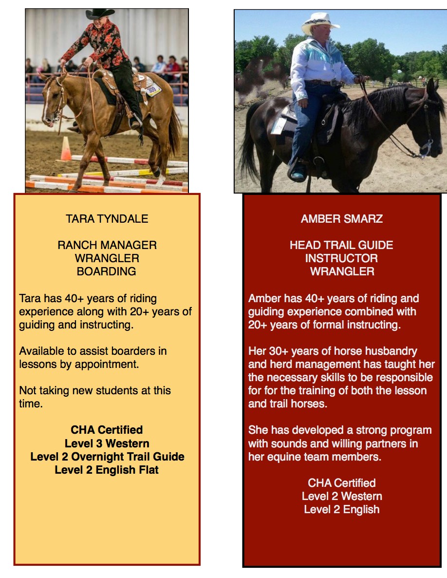 Website Biographies